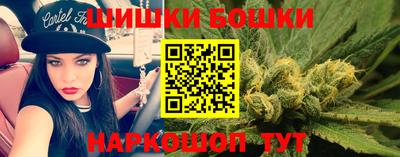 ешки Будённовск