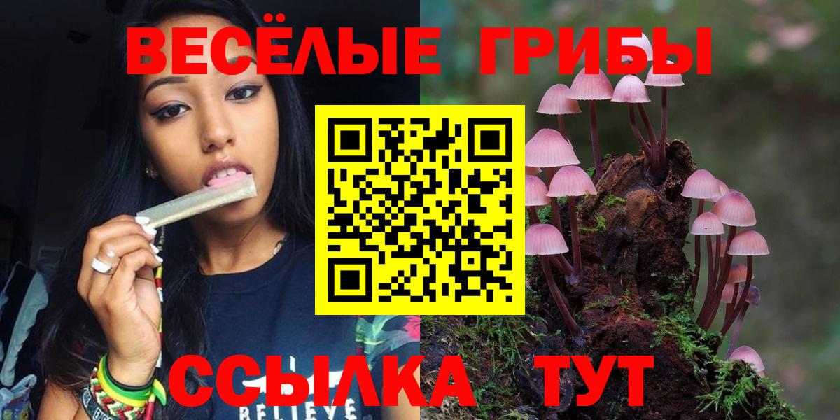 Псилоцибиновые грибы Cubensis Челябинск